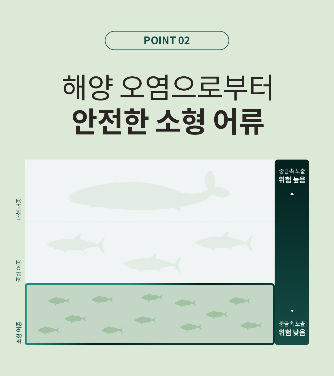 클라리온 알티지 오메가3 제품 상세정보 11