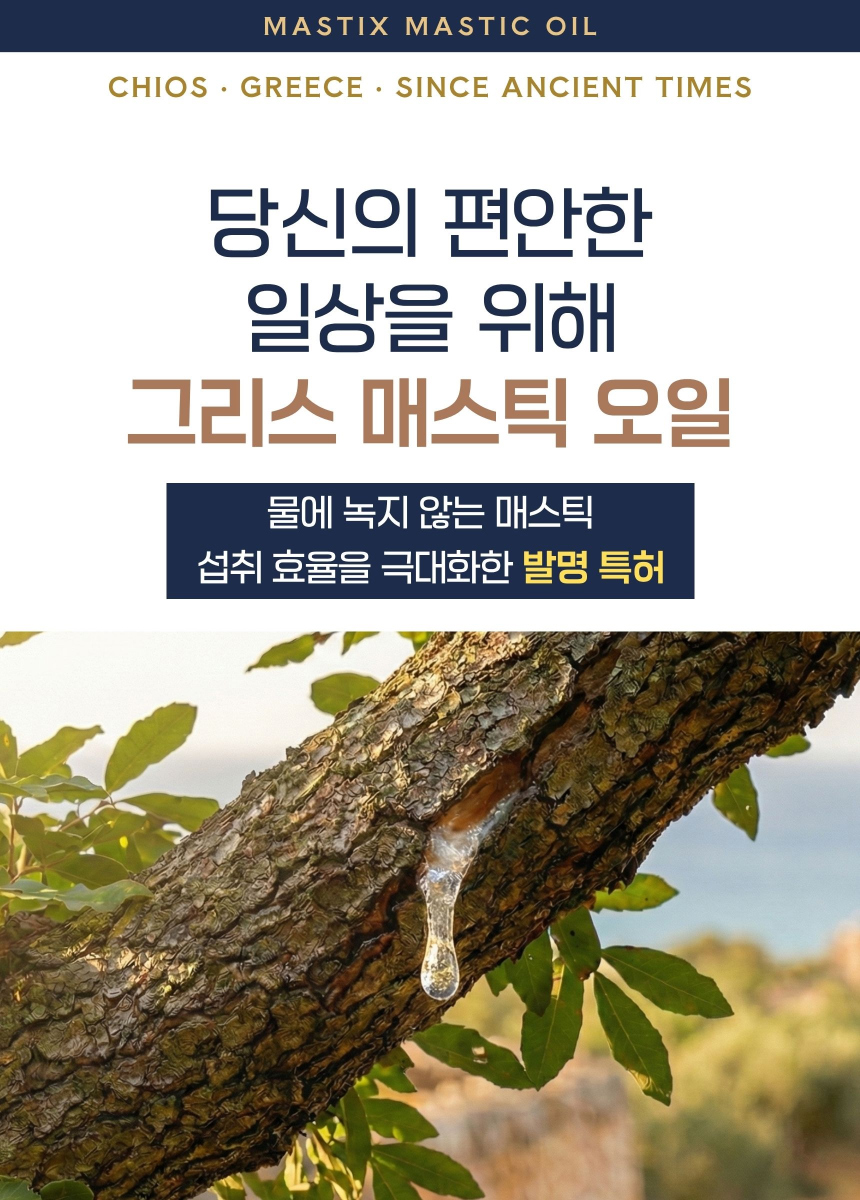 매스틱스 매스틱스 매스틱 오일캡슐 원료·표시사항 상세정보 1