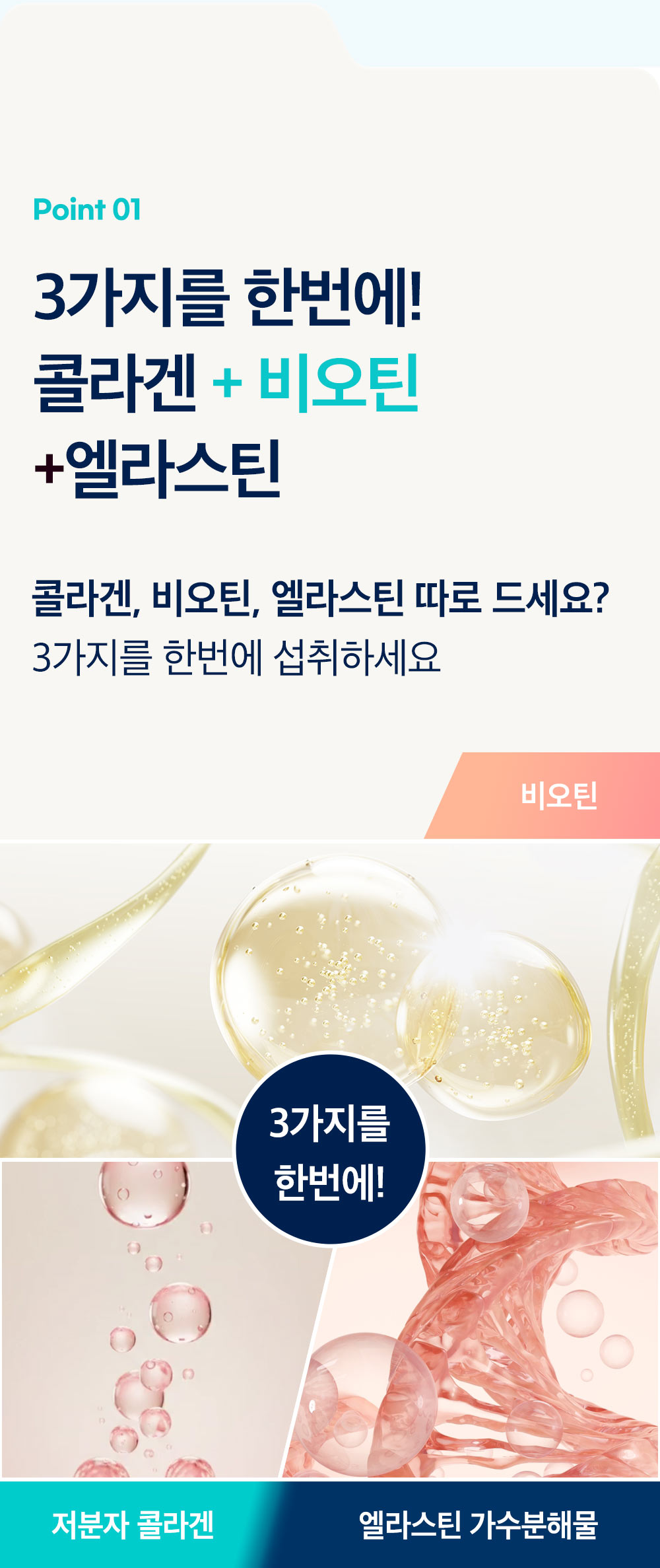 저분자 콜라겐 비오틴 엘라스틴 상품 설명 3
